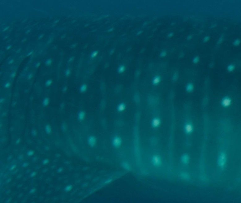 d3f716a5-cbc3-4a24-ad3a-16e1d3612628