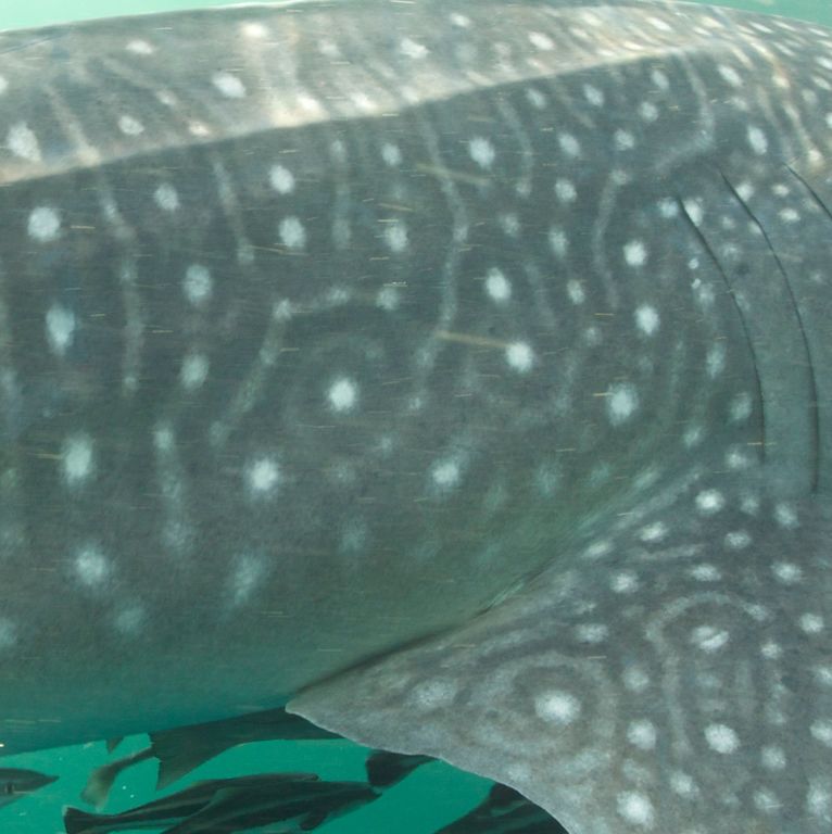 1eb3b899-49c7-4354-a446-af758b2e1cbb