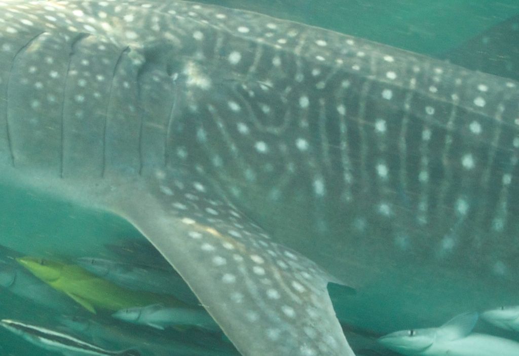 1eb3b899-49c7-4354-a446-af758b2e1cbb