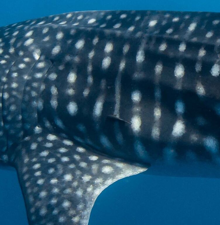 32eaa2ab-eb47-4030-85a3-ba3f32625fb5