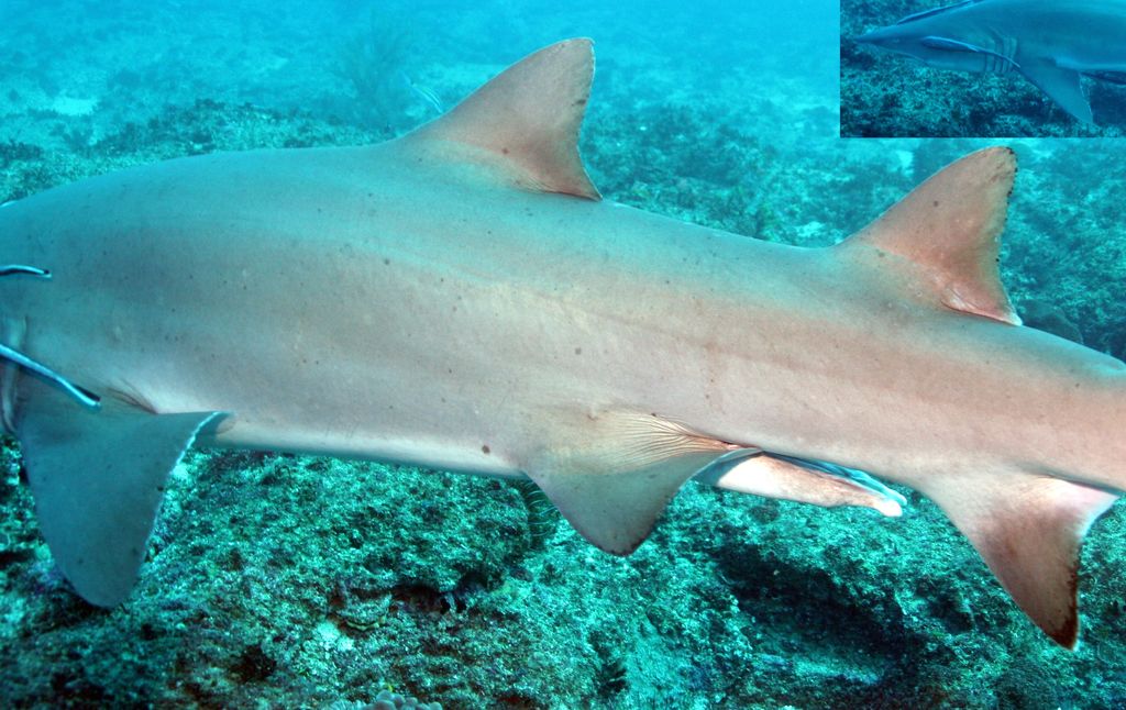 ebcce368-b530-4d50-8201-55705676c5f2