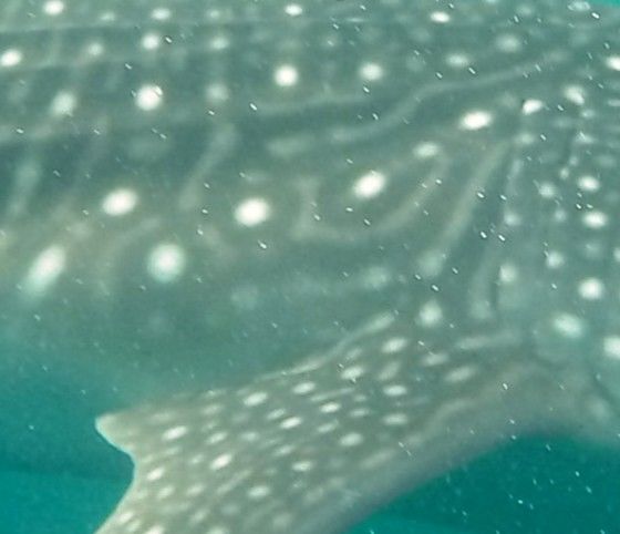 dbfc0907-1be3-4aeb-851b-49c5688b9e5a