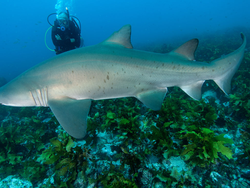 a50c2c38-8425-400e-b11b-3a0995ebad39