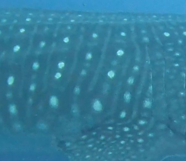 77ec90c6-53f3-4017-98c0-2add5a778023