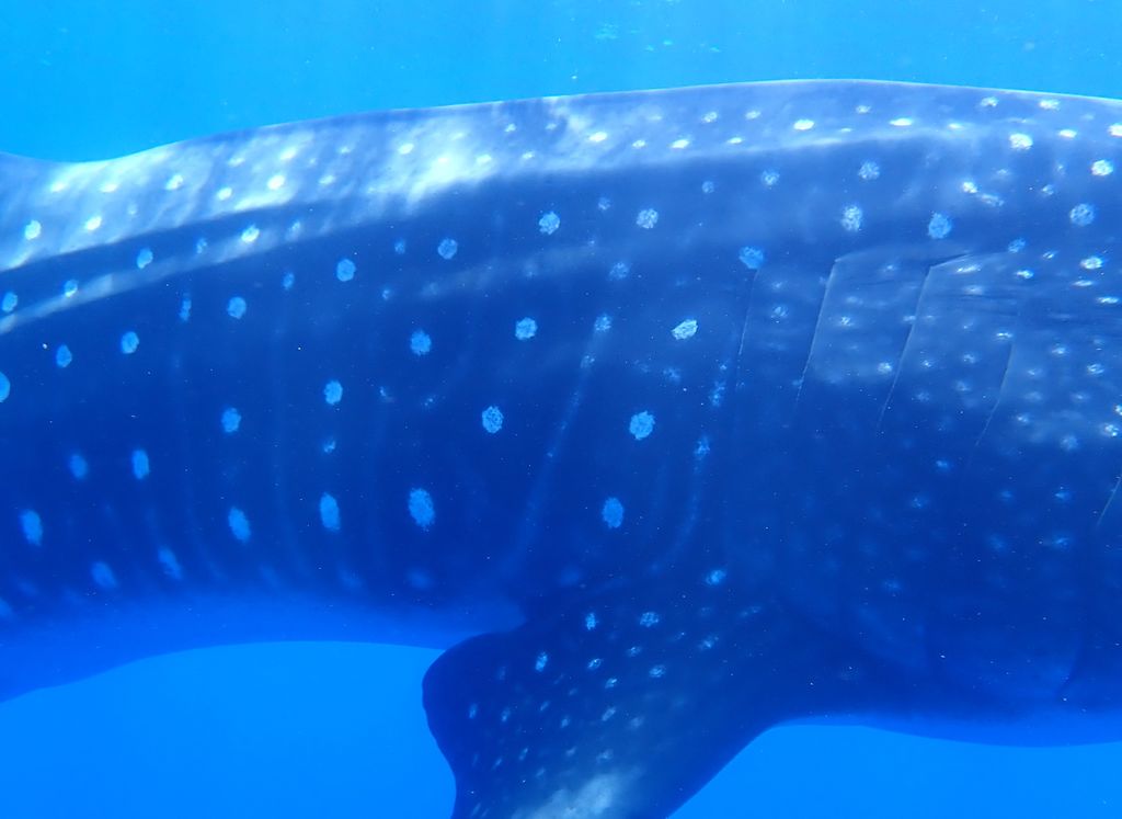 78f310be-7469-4cc7-8992-264209a1c7d8