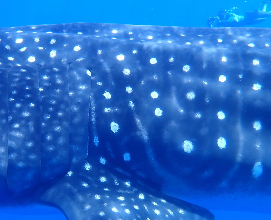 78f310be-7469-4cc7-8992-264209a1c7d8