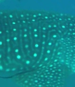 9512902c-43e1-4d2e-b975-16b8b00157ad