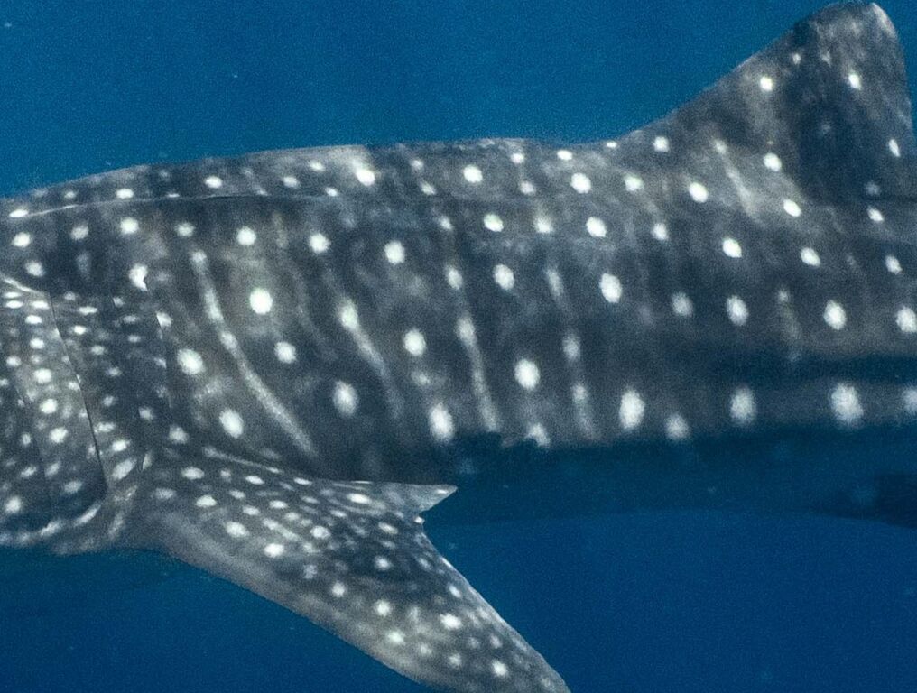 960a3f2a-181c-4fd9-9858-16de7132ae76