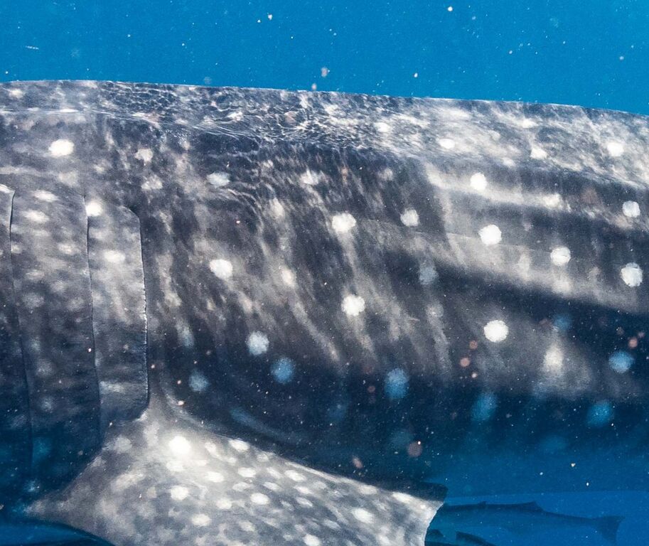 3a317da5-1cb4-412f-b840-4404e9d65183