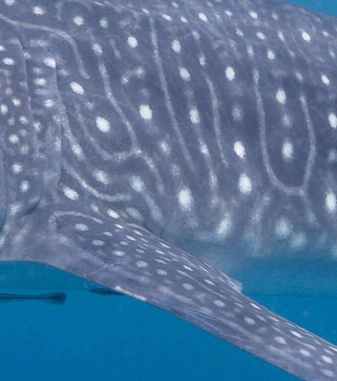 98861bd2-8076-41fd-a923-3962f3bbb633