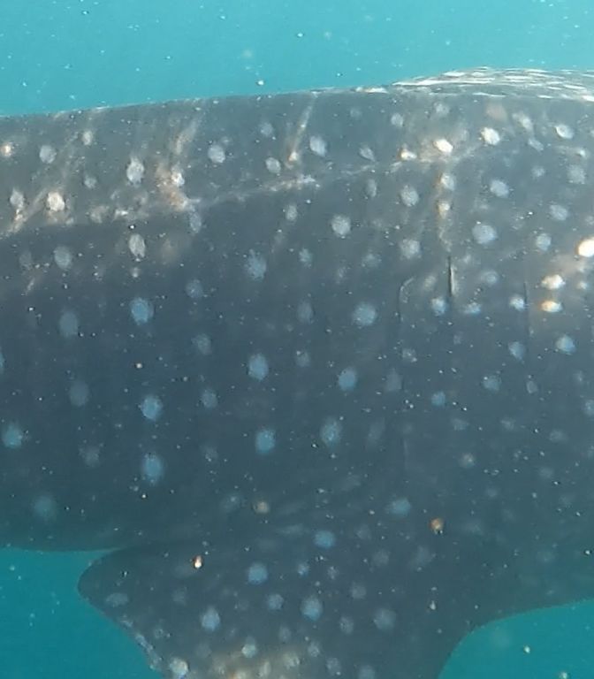 5193b3b8-4ea9-40a6-a4cf-cf2796a41e45