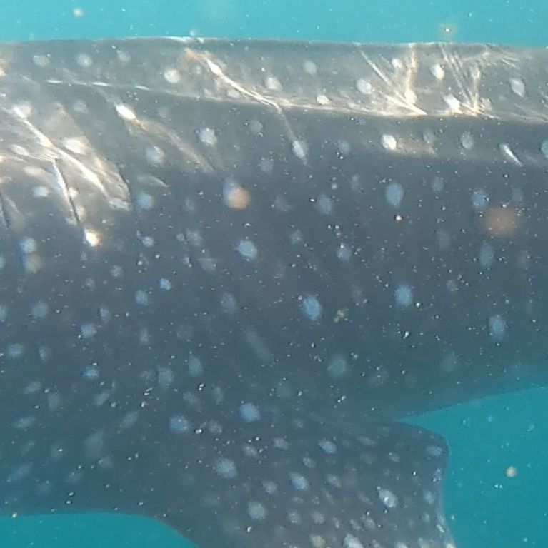 5193b3b8-4ea9-40a6-a4cf-cf2796a41e45