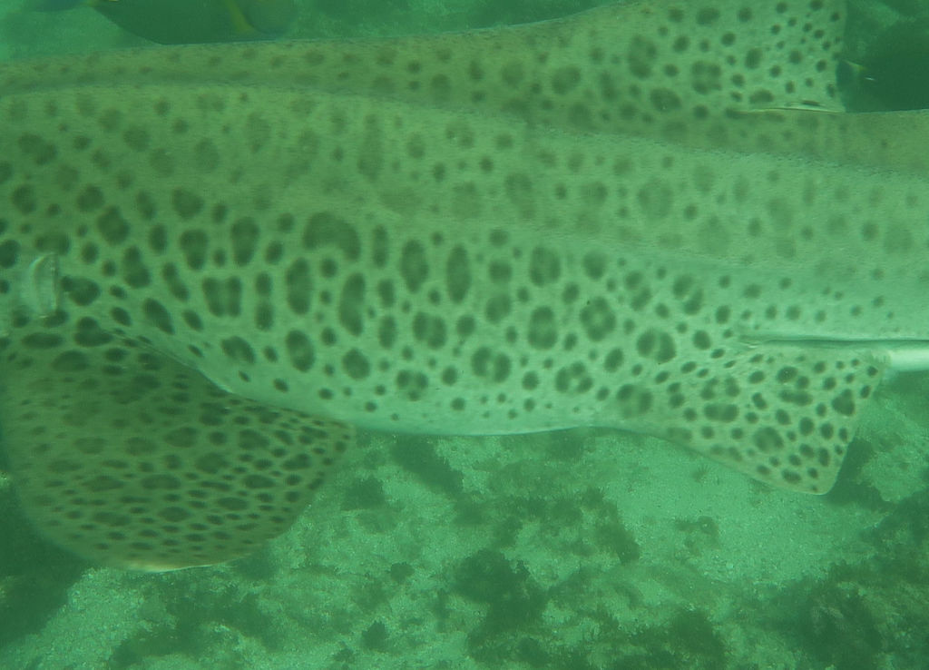 e3ec3514-0540-4f9f-aa21-a19c4ffeaeca