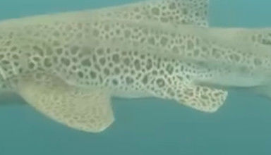 da2a135e-c0a6-4927-a931-50d3dc37df24