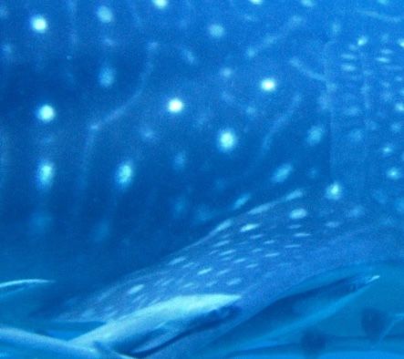 6e87c86a-1442-4e07-98d4-1b2ca9b8d36b