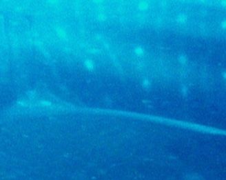 6e87c86a-1442-4e07-98d4-1b2ca9b8d36b