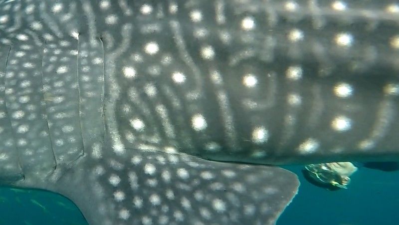 d57db851-dd25-4f3c-8755-f86574dd93cf