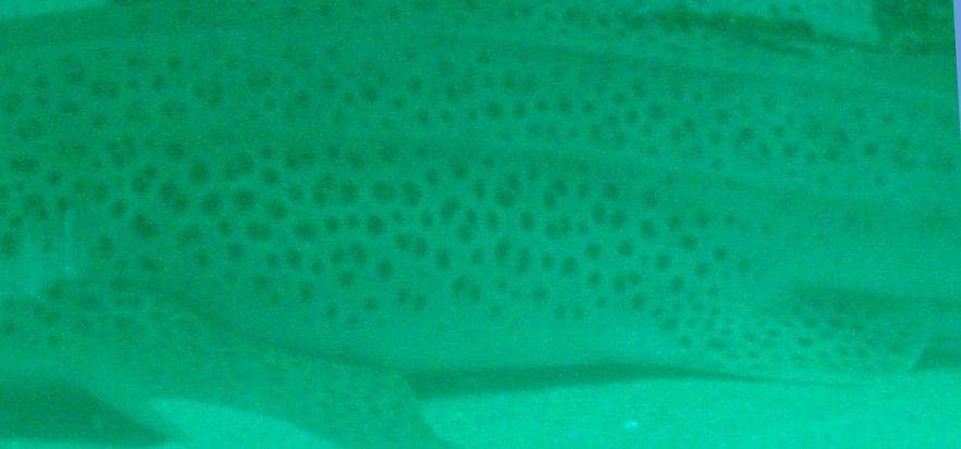 25424969-09d5-4551-b0d8-498ebb73a60d