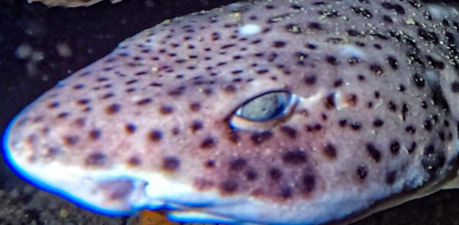 82bad25f-9789-43f6-aad5-9617ca4b2144