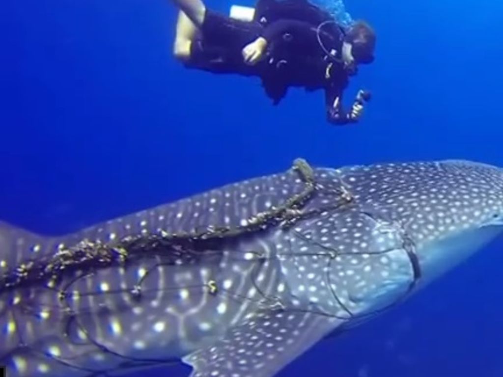 216d817f-ac9b-4326-b5ba-fa802ef3fd48