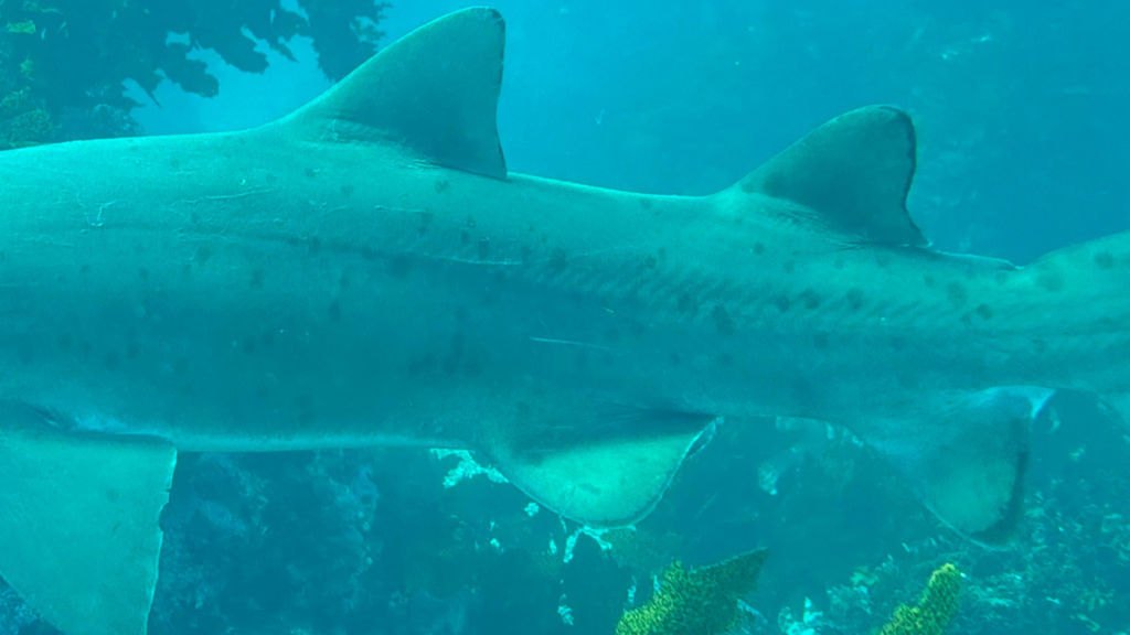 f9c907d7-944f-42d9-80b4-3a3f76891c64