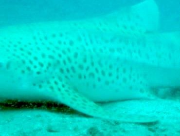 f0efb14e-3624-4edc-b44c-b9a154f0d7c6