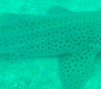 d9cd332e-3afa-4ea8-a0b6-a47b3492be2f