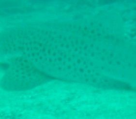 d9cd332e-3afa-4ea8-a0b6-a47b3492be2f