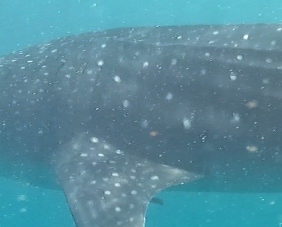 38a925c7-2409-435a-b840-dbf6e020234f