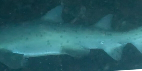 abb983cd-3a41-4f31-918d-40eaa43feb49