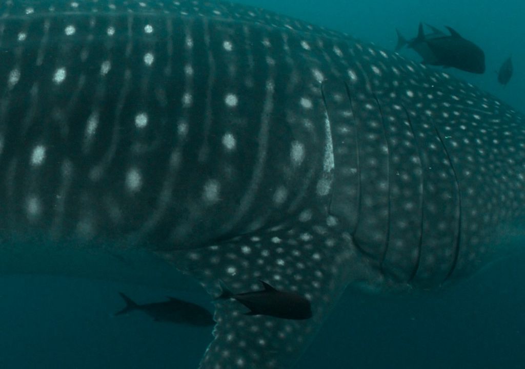 665d3315-b6ec-4c34-9a4c-b5eb8081563b