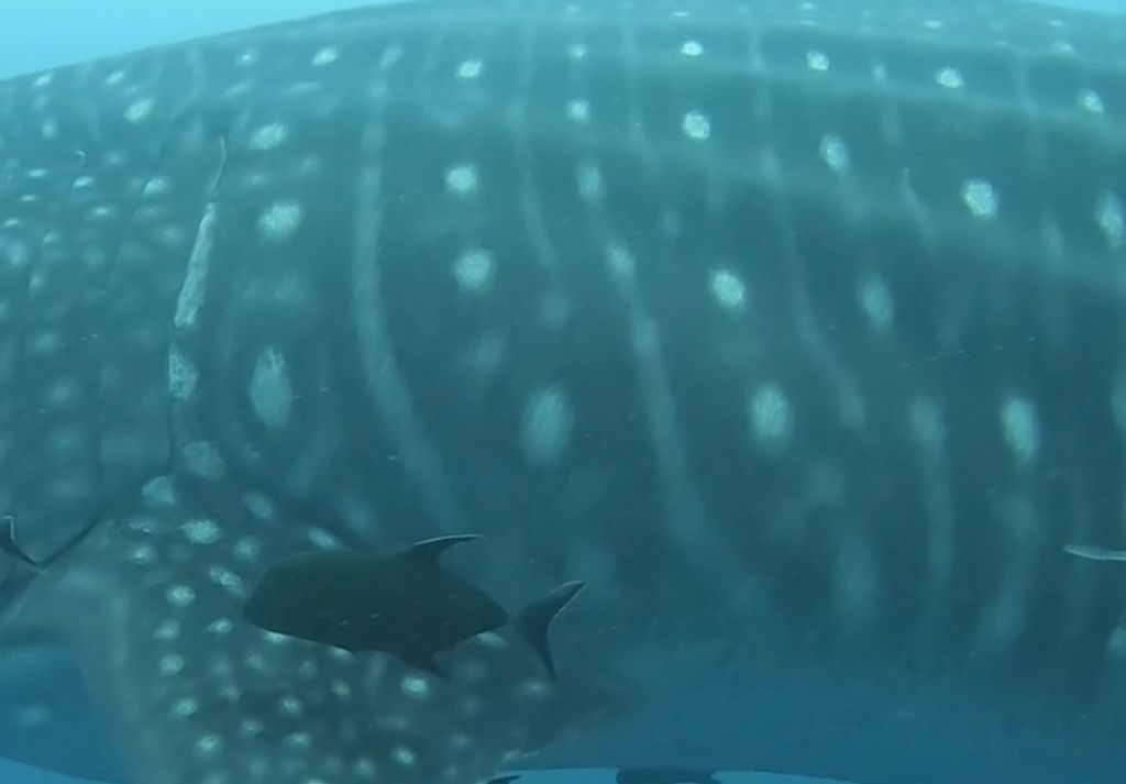 665d3315-b6ec-4c34-9a4c-b5eb8081563b