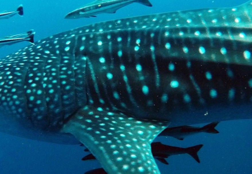 b7e7a8e8-e242-46c2-afa9-c434b7d0332b