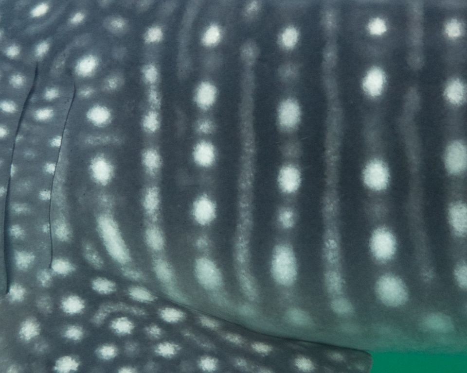 5f6385d4-9a60-446b-92ad-1085c33c3771