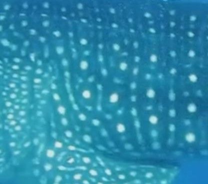 6cfbf13f-e5a6-4c14-8903-8ca284f4dd30