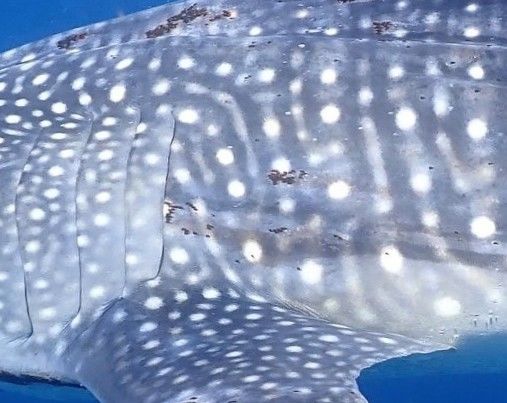 1d1b4ea4-5c0f-4347-991e-80c2e6fda370