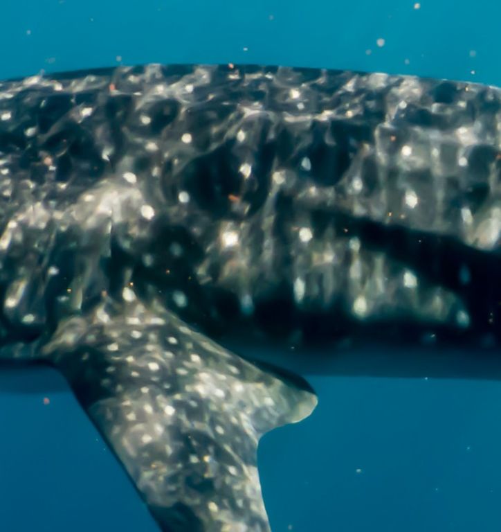 a6f88cf5-9142-47bb-8e09-a4b95df36f49