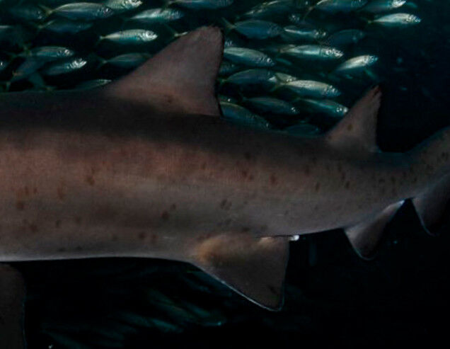 9c45598b-cc2b-4044-ae31-f01db54d2aa6