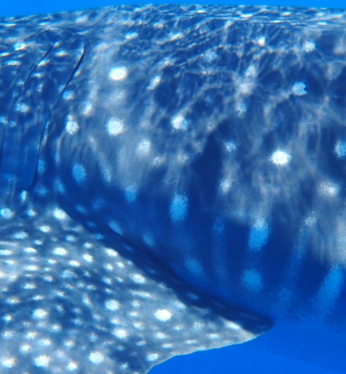 43c4ebc2-415e-45e9-9141-1c80e937b38f