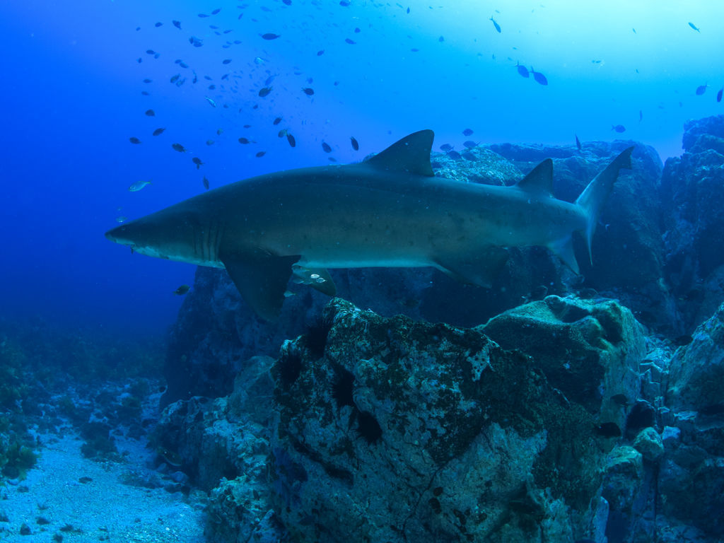 aa9368da-5112-47d5-9fae-e5339d97b747