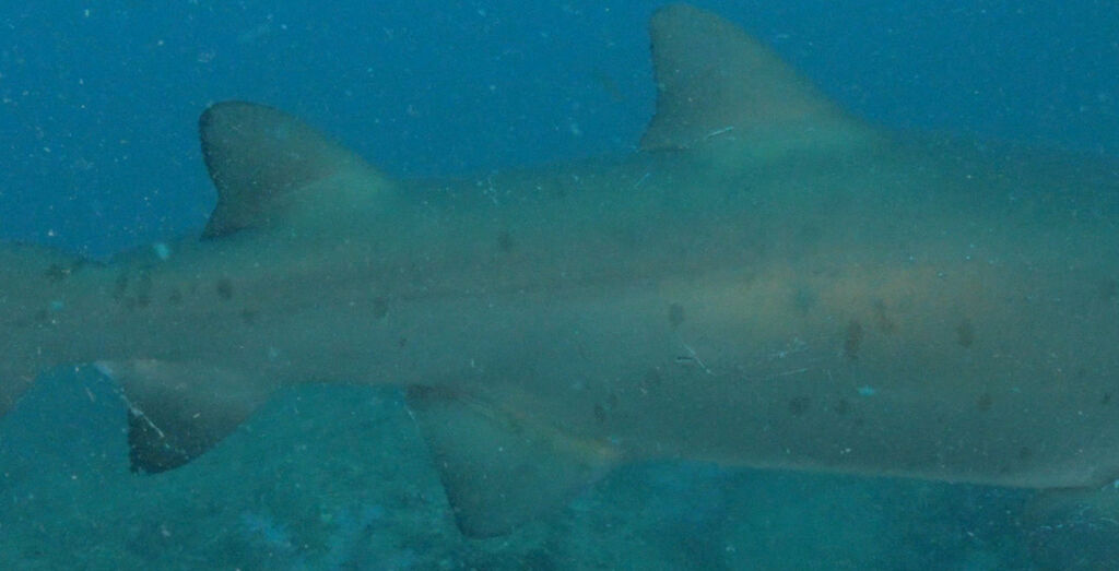 812ac54e-caea-4ea3-acdc-1cb1c2851696