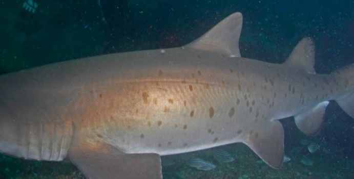 c409b2d6-b099-4564-b052-1b3ab6825d21