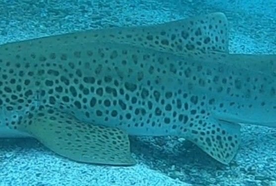 f82157f5-1499-4c04-baaf-b7ed0f416e4a