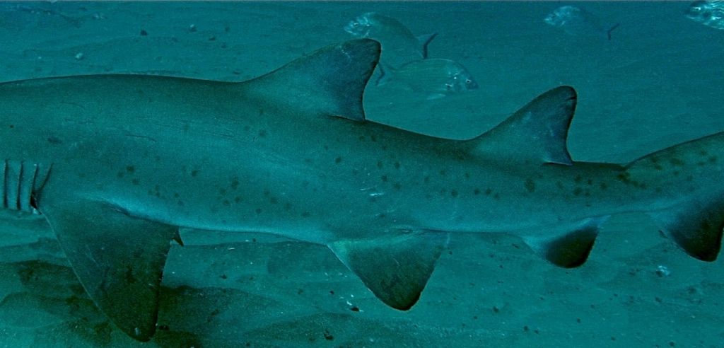 a86d41de-f027-468f-a624-34a980874745