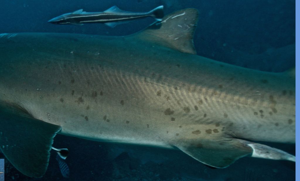 b937819e-a9af-4c53-b897-a43adfe03a4f