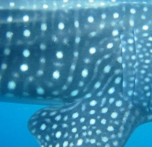 87876ae3-a9d4-4dba-9d9d-fbe14121b15e