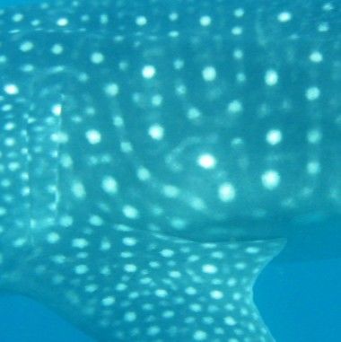 87876ae3-a9d4-4dba-9d9d-fbe14121b15e