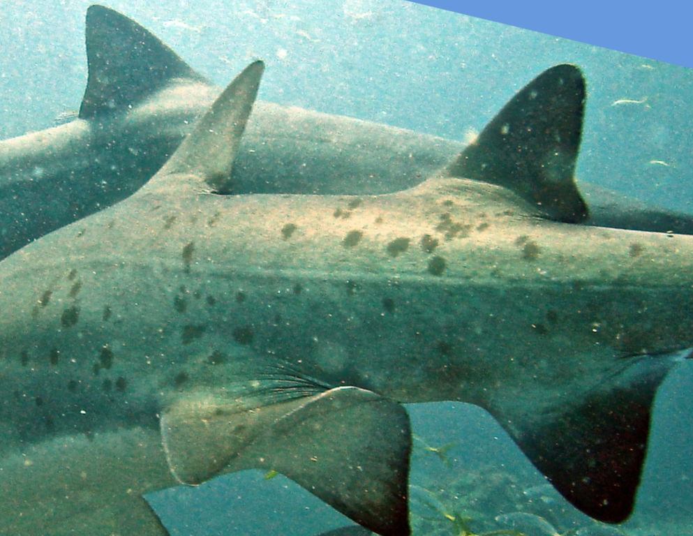 654c21d3-984b-4827-9583-c6d337b4aadd