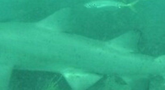 23e6f1d2-a782-4e6c-ac07-27ce05cb568a