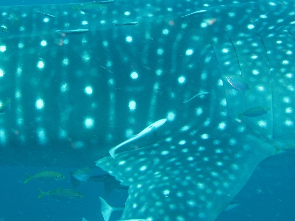 7707d520-830e-4fda-8108-ad517bbba313